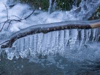 Eiszapfenreihe an Ast über dem Zellgrabenbach in Aschau